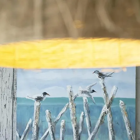 Haus Strandläufer 0 5 Möövnest 3 Apartment